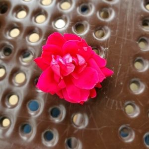 Meet your Posher, Angel